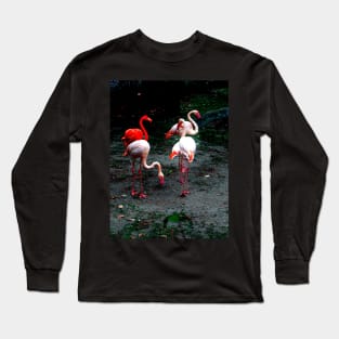 Pink and red flamingos Long Sleeve T-Shirt